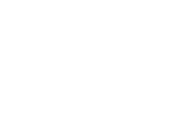 MIG Travel