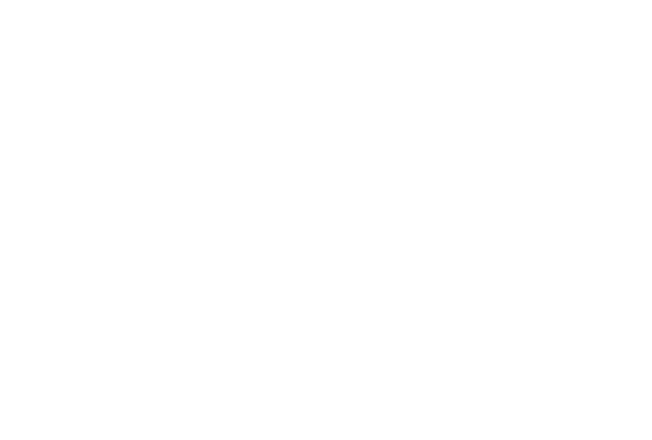 np pelister logo