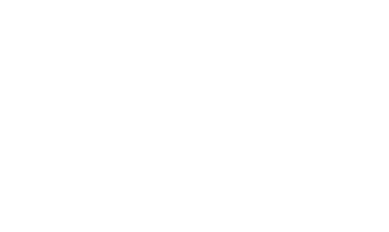 Vincinni